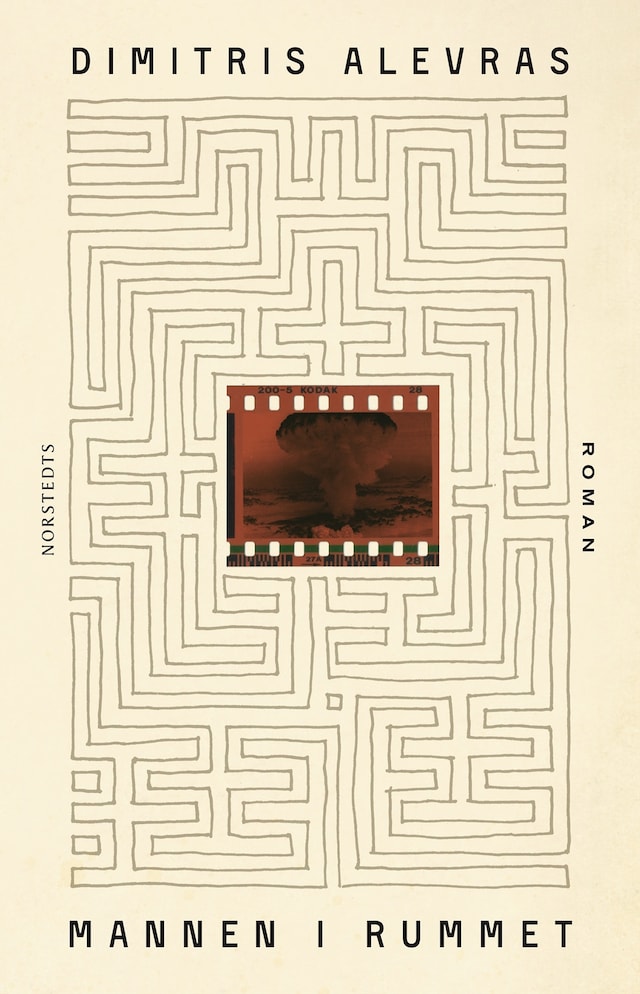 Book cover for Mannen i rummet
