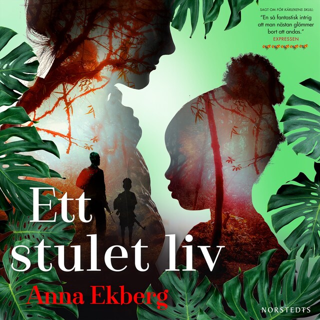 Book cover for Ett stulet liv