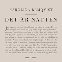 Det är natten : författaren och den som skriver