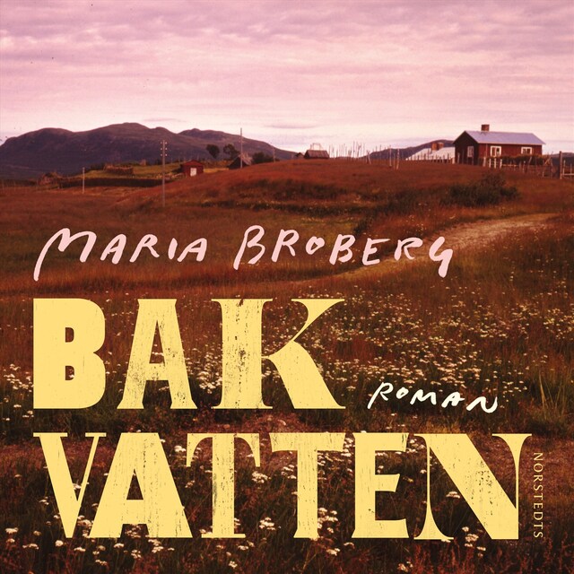 Book cover for Bakvatten