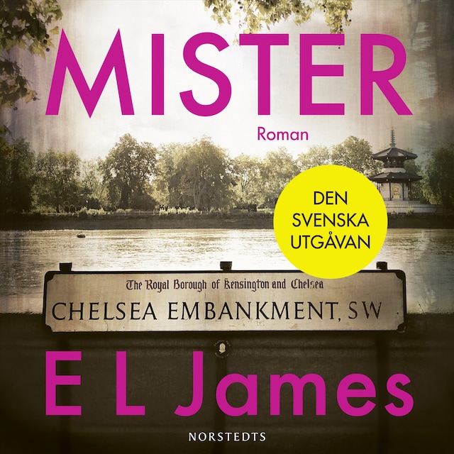 Book cover for Mister