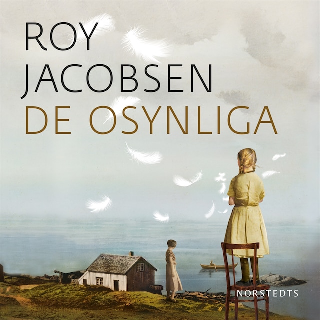 Book cover for De osynliga