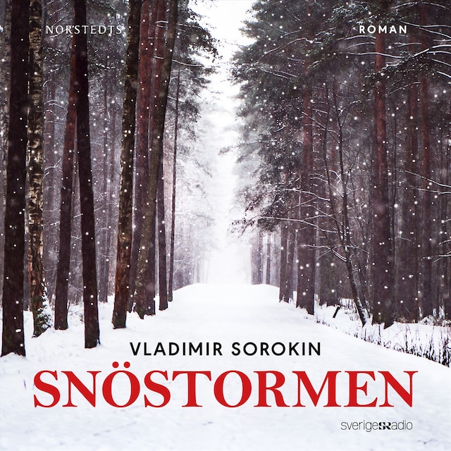 Portada de libro para Snöstormen