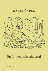 Ett år med min trädgård