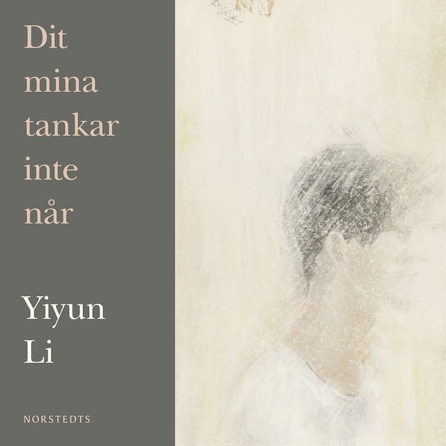 Portada de libro para Dit mina tankar inte når