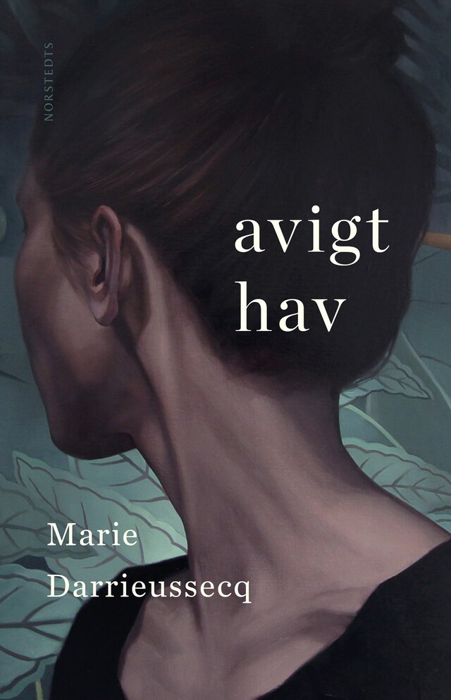 Book cover for Avigt hav