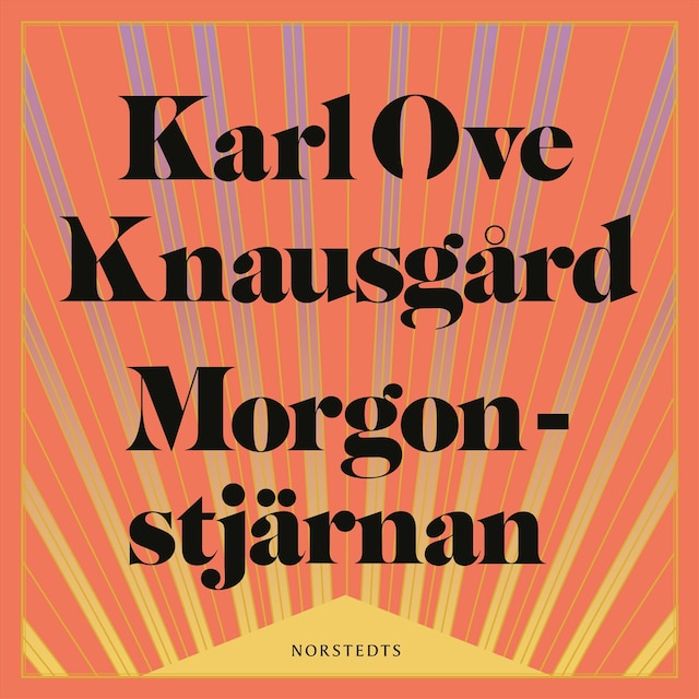Book cover for Morgonstjärnan