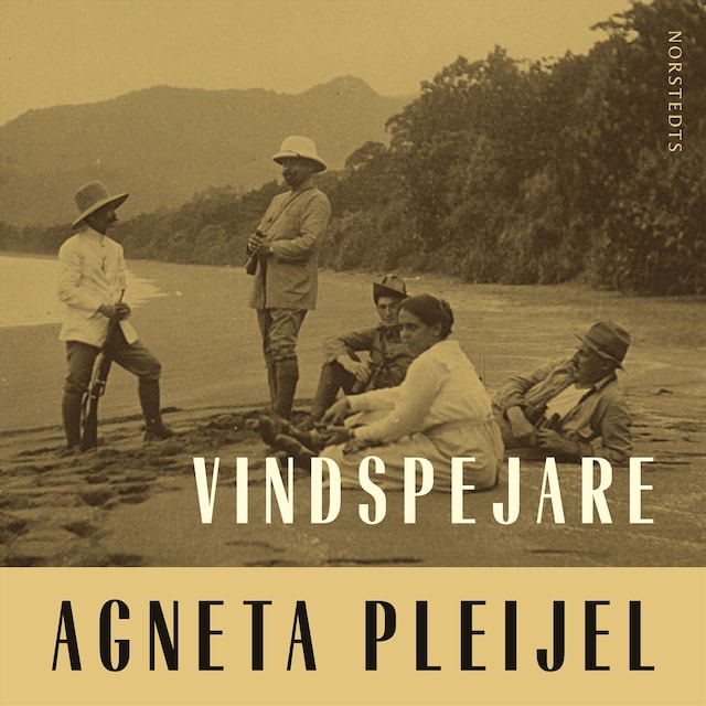 Book cover for Vindspejare : boken om Abel målaren