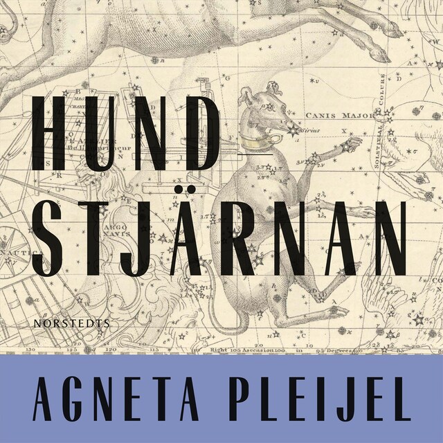 Book cover for Hundstjärnan