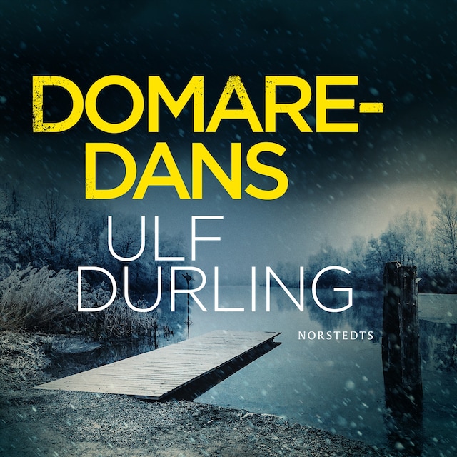 Book cover for Domaredans