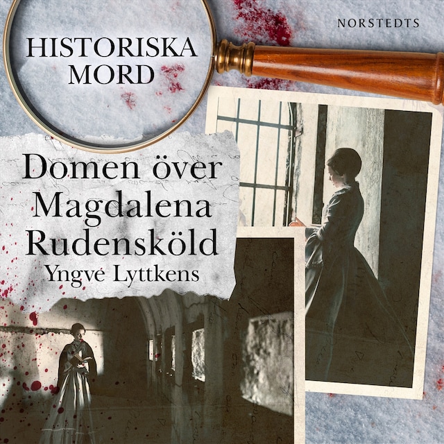 Bokomslag for Domen över Magdalena Rudensköld : Historiska mord del 3