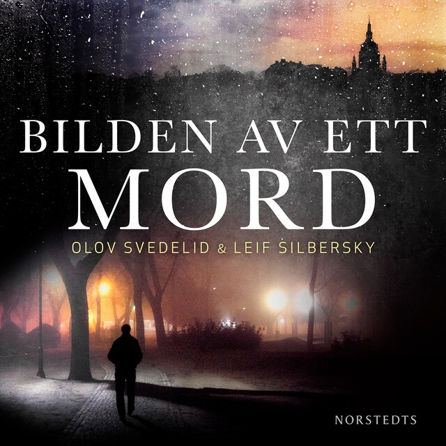 Book cover for Bilden av ett mord