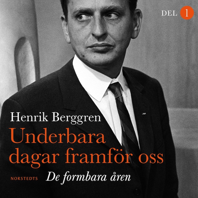 Portada de libro para Underbara dagar framför oss : De formbara åren