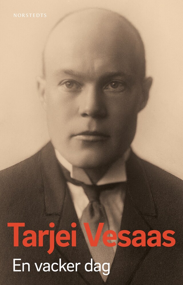 Book cover for En vacker dag