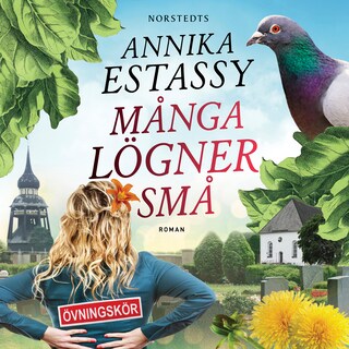Många lögner små bookCoverFor