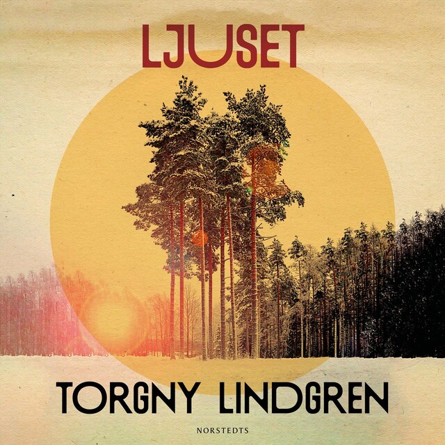 Book cover for Ljuset