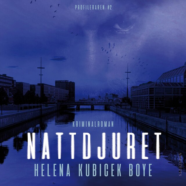 Okładka książki dla Nattdjuret