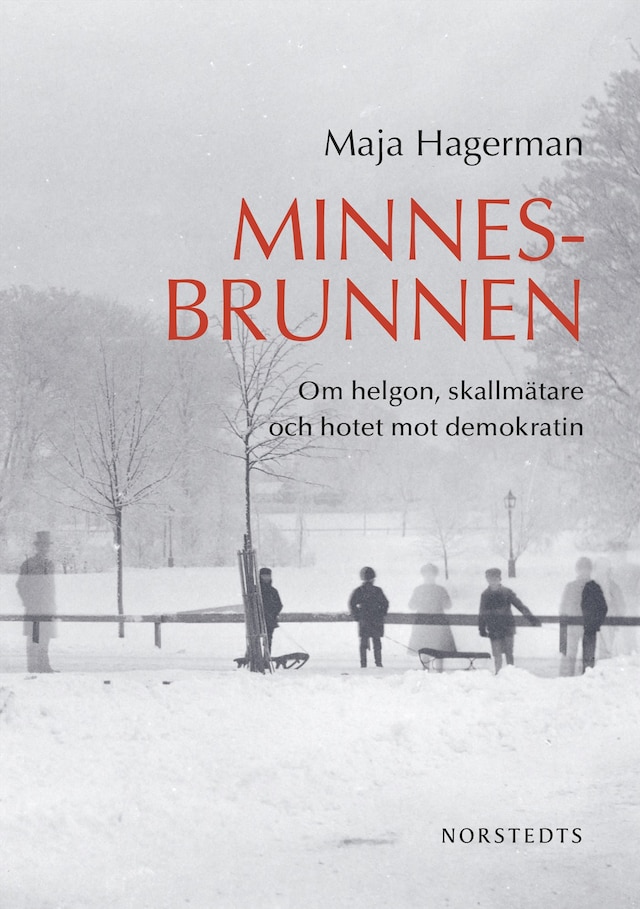 Book cover for Minnesbrunnen : om helgon, skallmätare och hotet mot demokratin