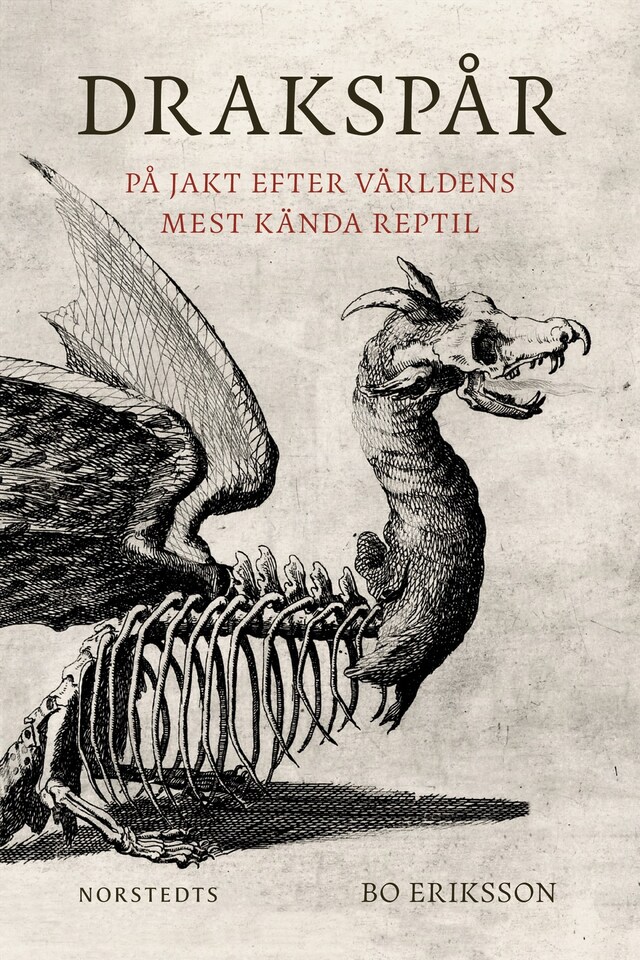 Book cover for Drakspår