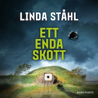 Ett enda skott
