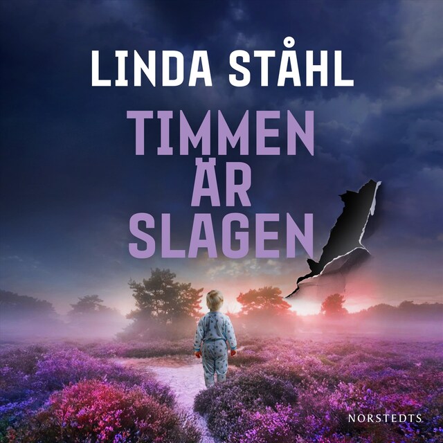 Book cover for Timmen är slagen