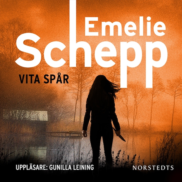 Book cover for Vita spår