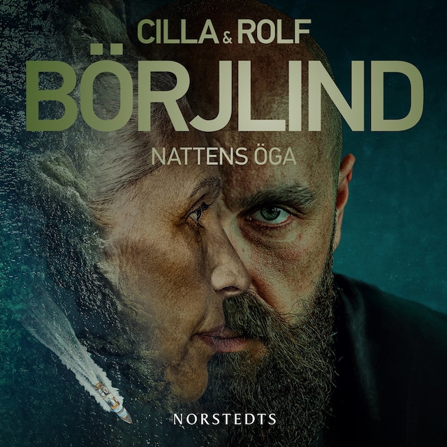 Book cover for Nattens öga