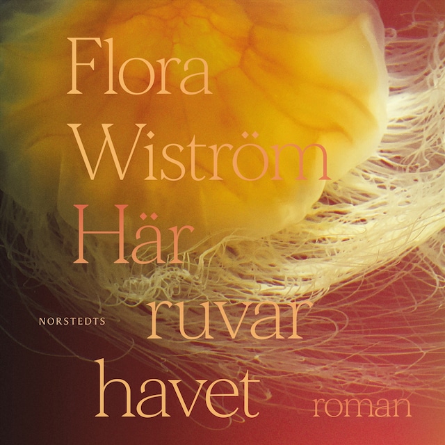 Book cover for Här ruvar havet