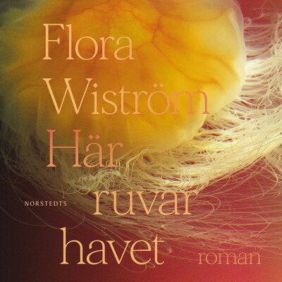 bookCoverFor