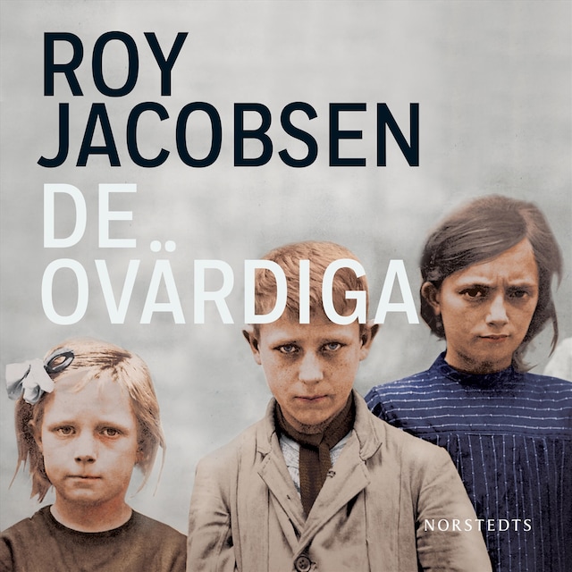 Book cover for De ovärdiga