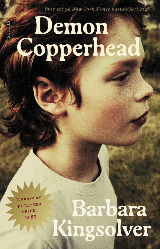 Book cover for Demon Copperhead