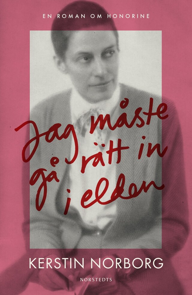 Book cover for Jag måste gå rätt in i elden : en roman om Honorine