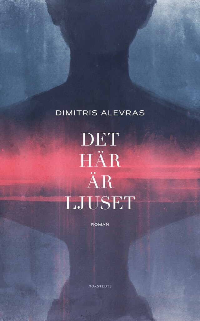 Book cover for Det här är ljuset