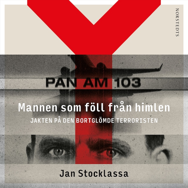 Book cover for Mannen som föll från himlen : Jakten på den bortglömde terroristen
