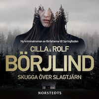 Skugga över Slagtjärn