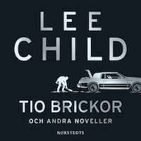 Tio brickor och andra noveller