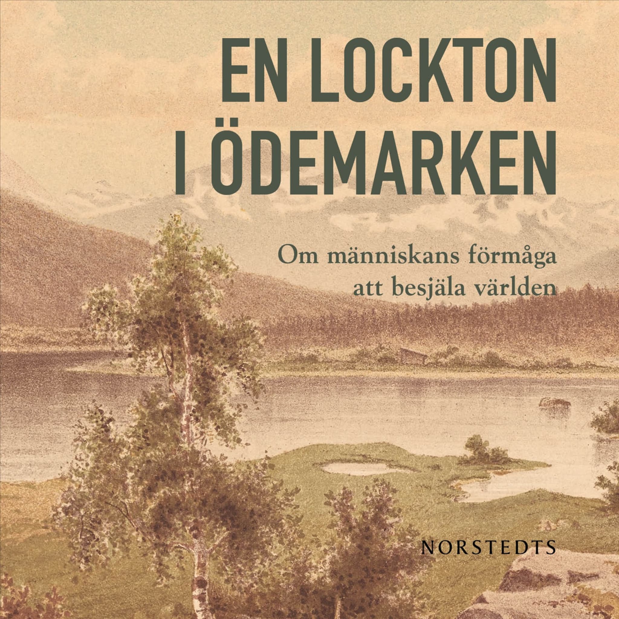En lockton i ödemarken
