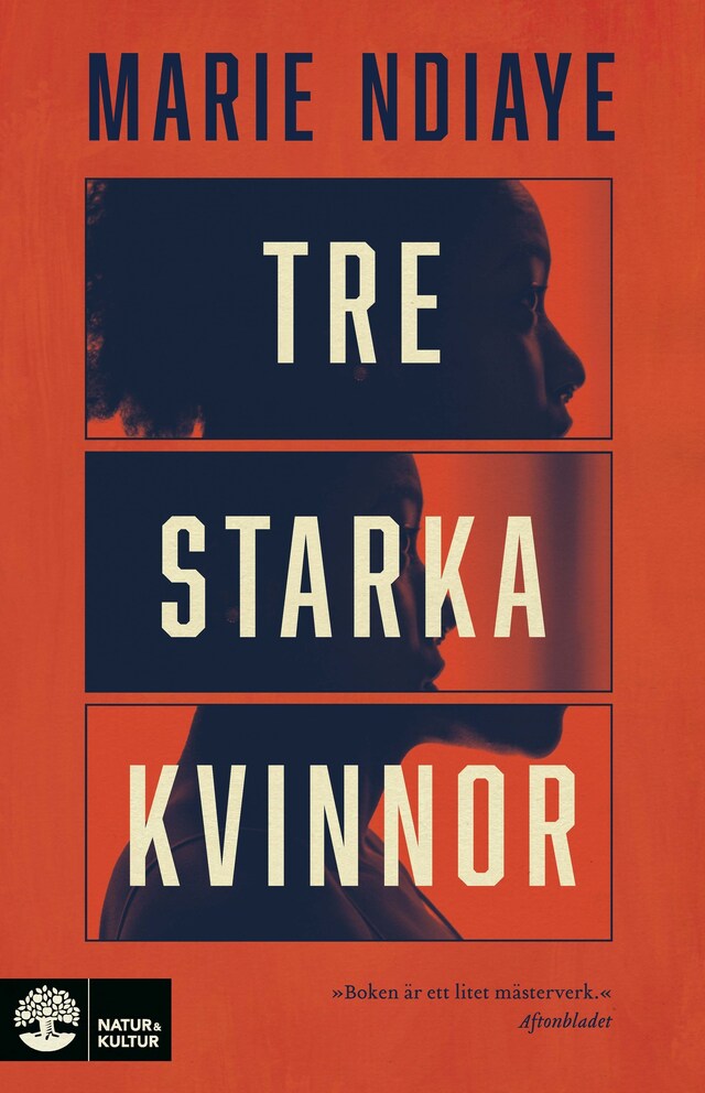 Book cover for Tre starka kvinnor