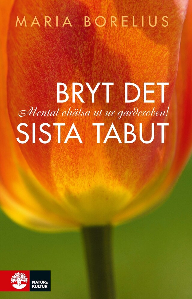 Buchcover für Bryt det sista tabut