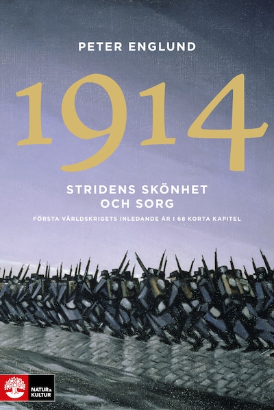 Stridens skönhet och sorg 1914 : första världskrigets första år i 106 korta kapitel