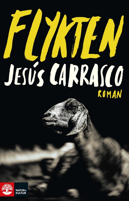 Flykten bookCoverFor