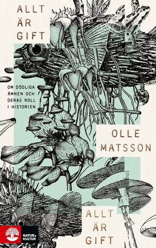 Allt är gift bookCoverFor