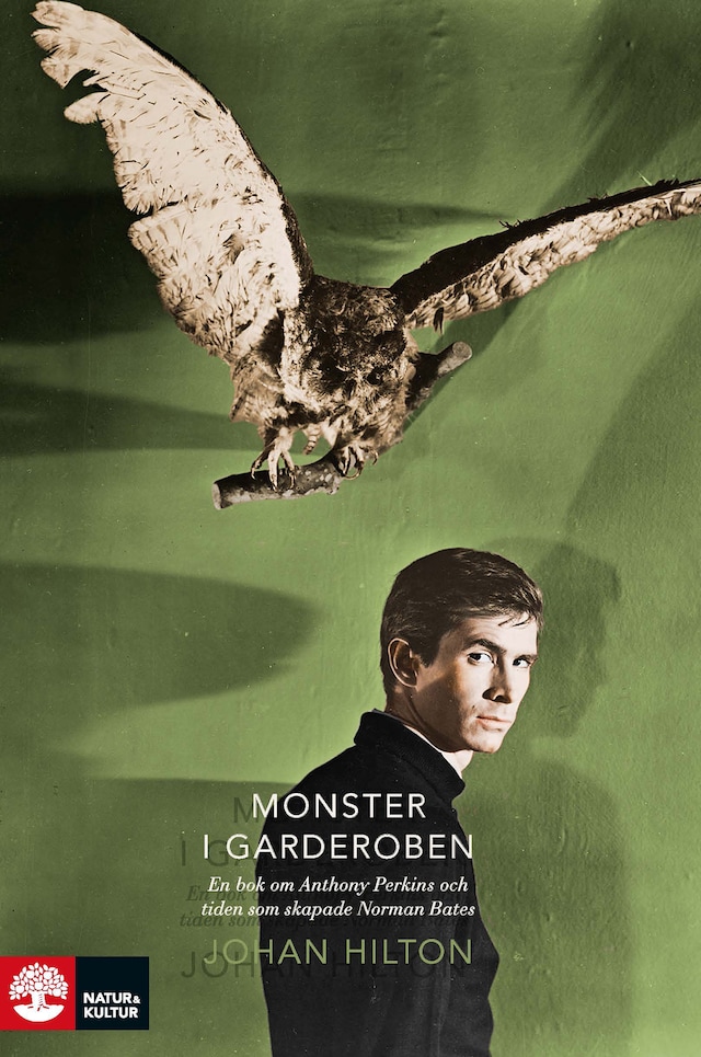 Book cover for Monster i garderoben