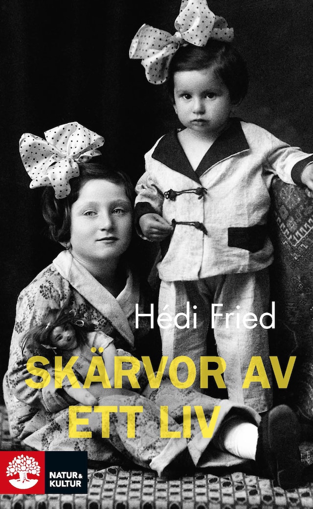 Book cover for Skärvor av ett liv