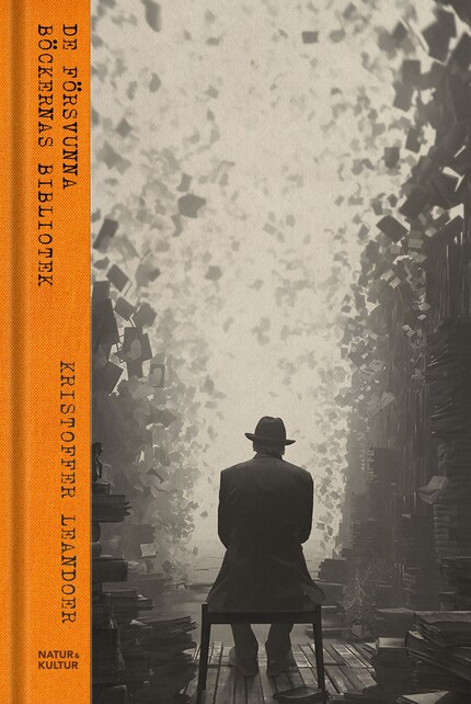 De försvunna böckernas bibliotek bookCoverFor