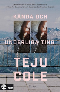 Kända och underliga ting : essäer