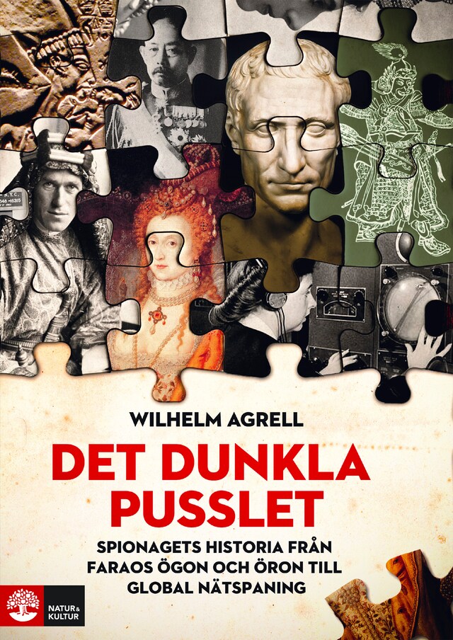 Book cover for Det dunkla pusslet