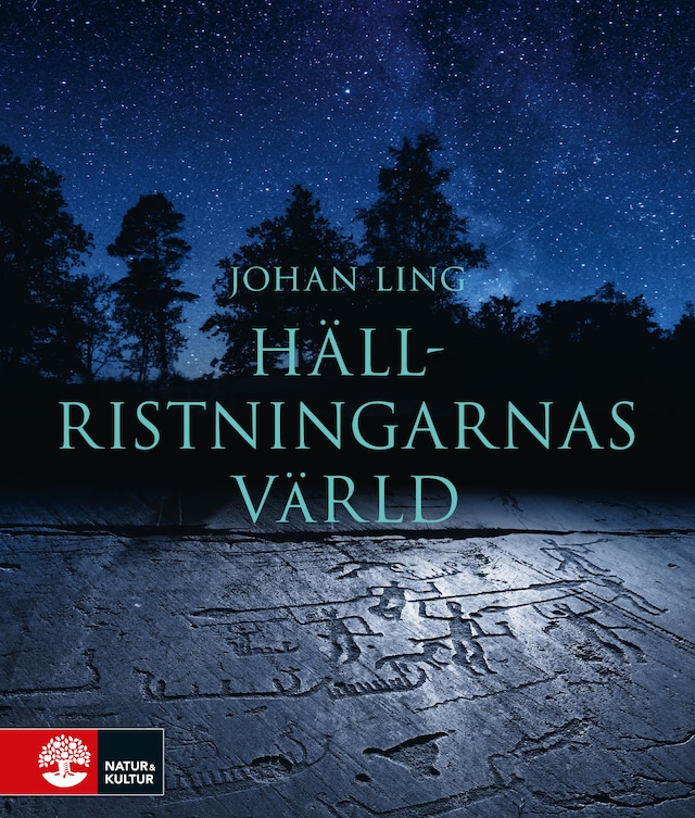 Book cover for Hällristningarnas värld