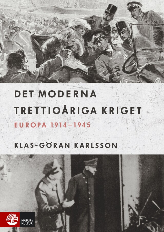 Book cover for Det moderna trettioåriga kriget