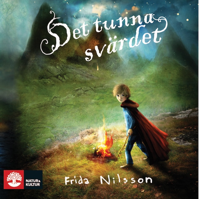 Book cover for Det tunna svärdet